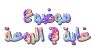 اسطوانة قواعد اللغة العربية 314542